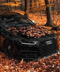 DARK Audi RS6 Autumn shoot.. | Audi rs6, Audi sports car, Luxury cars audi