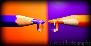 Naranja y violeta - Orange and violet | Web | Instagram | Tw… | Flickr
